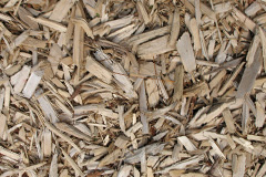 biomass boilers Sandal